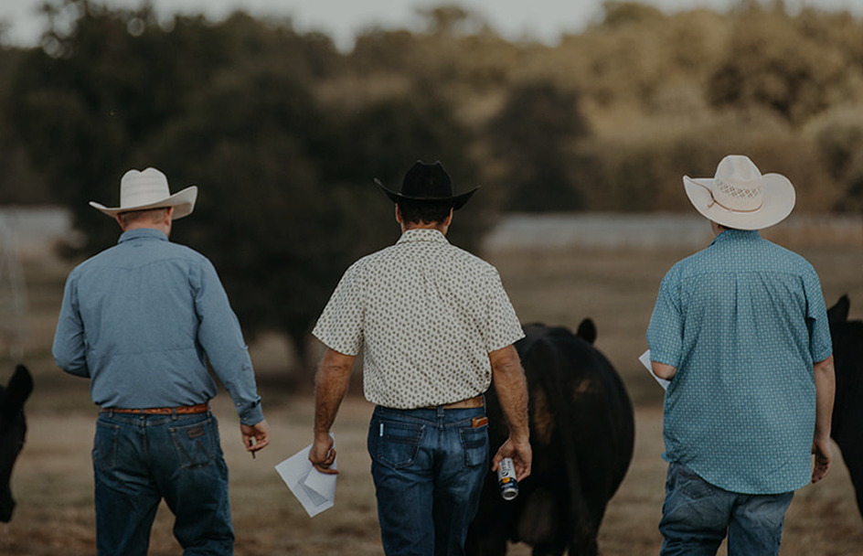 Family Owned
